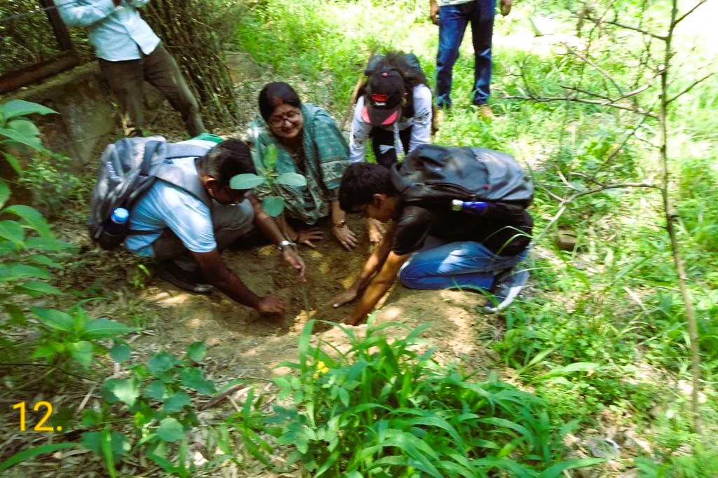 Activity 2