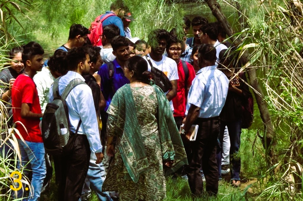 Activity 3